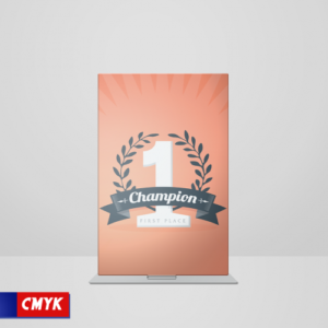 Troféu de Acrílico | 15x21cm | 4x0 | Impressão Total